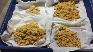 Telur maggot Bsf super per 500gr telur lalat bsf telur maggot