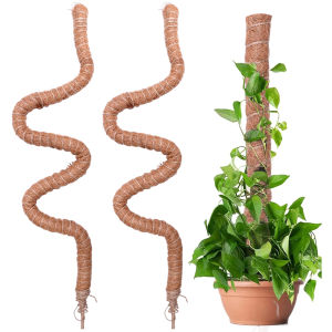Thick Curved Reptile Growth Support Rod for Garden Garden 70cm/100cm/120cm