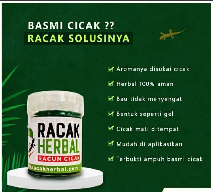 1 PCS RACUN CICAK Original Ampuh Racak Herbal AMPUH MEMBUNUH CICAK ...