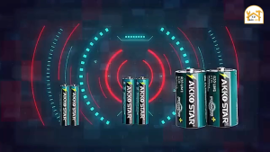 Pin tiểu AAA pin trung AA pin đại A Akko Star 03806 03807 Pin cao cấp cho chìa khoá remote TV đồng hồ - Hàng chính hãng.