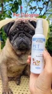 Prolific Tails Pet Cologne Pet Essentials 100ML