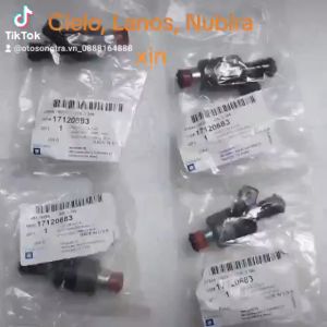 Kim phun xăng Daewoo Cielo chính hãng. Béc phun xăng Cielo xịn