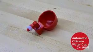 【Free Shipping】 Automatic Feeder Chicken Quail Pigeon Feeder Chicken Feeding Bucket Poultry Animal Feeding Tools