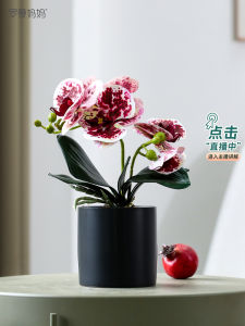 Modern Nordic Luxury Faux Butterfly Orchid กระถางต้นไม้ประดิษฐ์ดอกไม้ชุดตกแต่งสําหรับ Home Entrance โต๊ะรับประทานอาหาร