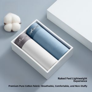 miiow | Mens Summer Thin Seamless Boxer Shorts Loose Large Size Cotton Fabric Anti-Bacterial Flat Angle Underwear Briefs By MiiOW