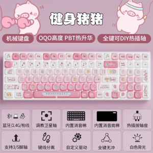 Customizable 100-Key Wireless Mechanical Keyboard Silent Office Gaming PBT Keycaps Full-Key No Confusion Hot-Swappable