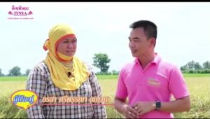 ซาซ่าส์ มิกซ์ สารปรับปรุงดิน (วันนี้ -31 ธ.ค.นี้เท่านั้น)