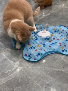 62cm Interactive Cat Toy Mat with Feather Automatic Hide-and-Seek Pet Play Mat Cat Indoor Toy Self-Entertainment