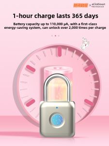 eLinkSmart | Smart Fingerprint Lock Password Lock Waterproof Home Use