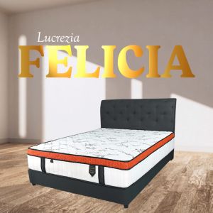 Free Shipping / Lucrezia Felicia (12 inch) Latex Feel Foam Coconut Fibre Mattress / Tilam / 椰丝床垫 Single Queen King