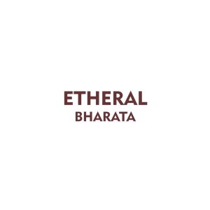Obat Stroke Berat Ringan - Obat Epilepsi Paling Ampuh Etheral Bharata Original - Penyumbatan Darah