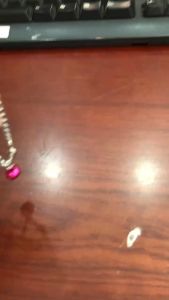 Vòng cổ cho thú cưng nhỏ ( inox)