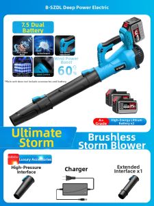 BSZDL | Rechargeable High Power Industrial Car Dust Blower