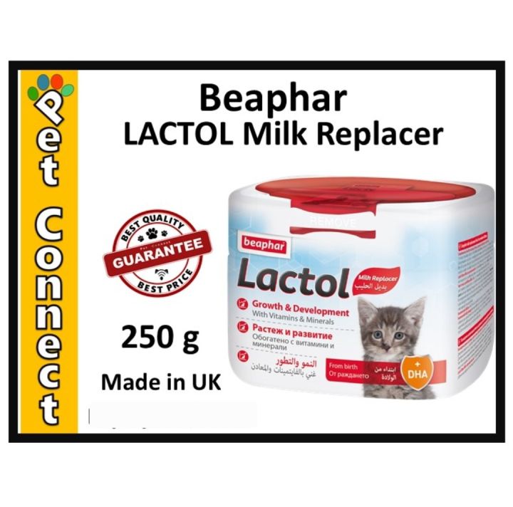 Lactol kitten milk powder best sale