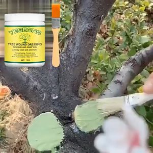 100g Tree wound dressing Plant healing agent Plant cut paste pruning compound for Plant treatment