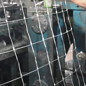 Hog Wires 27m Per Roll in 7 8 9 10 Holes Electrogalvanized Goat Wire Fence Roll Galvanized Cow Fence Kambing Cattle Panels Fence Pangbakod sa Farm