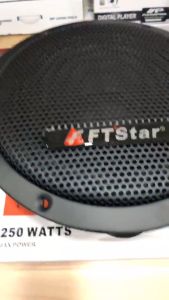 Megapro Speaker Size 10 FT-10W: A Compact 250-Watt Woofer