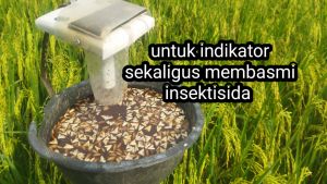 perangkap hama energi matahari