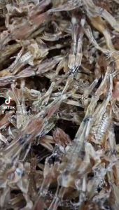 Khô Nhái - Vũ Nữ Chân Dài - Đặc Sản Miền Tây