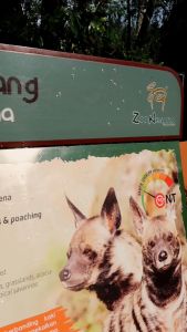 Zoo Negara - Adopt our Jerry