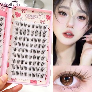VelvetLash【Local Stock】160 Clusters/box Fox Eye Glue-Free False Eyelashes Easy to Apply Beginner Friendly DIY Natural Daily Cluster Lash