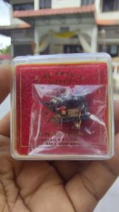 ว.ธนูพระอาจารย์โกวิทสัดบ้านสวนประสบการณล่าสุด 11 นัด เนื้อรมดำประสบการณ์สุด ของดีสายเขาอ้อ