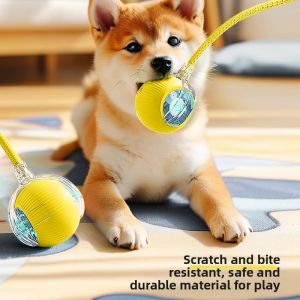 hipidog | Smart Electric Automatic Dog Toy Ball Durable Pet Ball Fun For Dogs Small Dogs Interactive Dog Toys Hipidog Brand