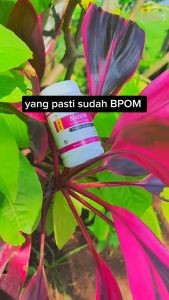 Paket Penggemuk Badan Alami Nature Kapsul & Madu Menambah Nafsu Makan Gemuk Badan Ampuh Original