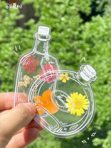 Transparent DIY Bookmark with Dried Plant Specimens