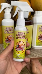 PEMBASMI LALAT TANAMAN 5 Liter | LALAT BUAH | LALAT DAUN | Aman Untuk Tumbuhan | Ramah Lingkungan