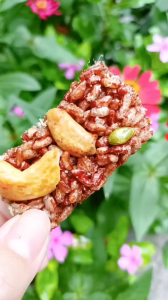 Thanh Gạo Lứt Chà Bông giòn rụm thơm ngon chọn vị