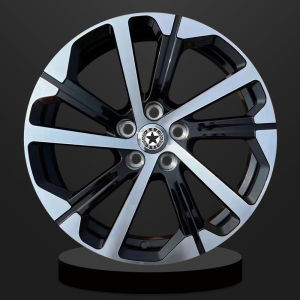 Forged Rims 20in 21in