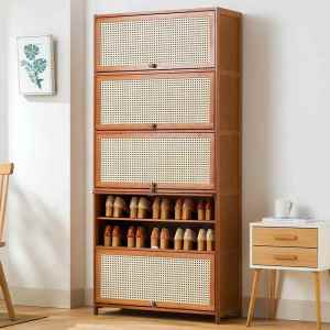 TENGYAGAO | Aesthetic Economic Multi-level Dustproof Shoe Cabinet
