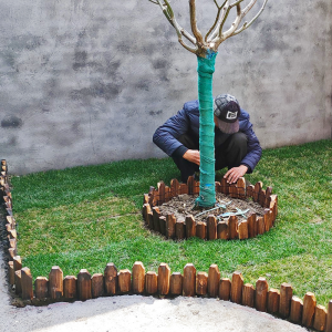 Small Garden Wooden Fence Fence Small Vegetable Garden Outdoor Courtyard Villa Flower Pot Flower Bed Green Fossil Isolation Belt Soil Retaining