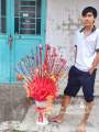 Nụ tầm Xuân Bó 30 cành 60cm Đỏ. 