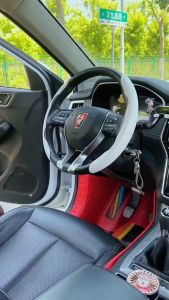 Lá thơm khô chữ R treo xe ôtô - cây thơm theo tủ quần áo khử mùi