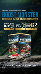 BOOST MONSTER - 80g / 500g - FISH FOOD