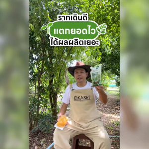 ไอดีเกษตร จุลินทรีย์อะมิโนสูตรพรีเมียมเข้มข้น ขนาด 100 ml. (Pack3)