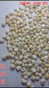 Grade A Chuan Bei Mu 100 Gram Pi Mu 川贝母 Bulbus Fritillariae Cirrhosae Batuk