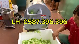 Máy thái lát thái sợi thái hạt lựu công nghiệp năng suất 300kg/h