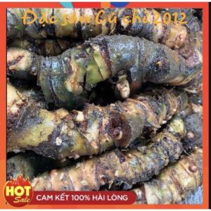 [Combo 3kg] Củ rau móp tươi đào từ sông