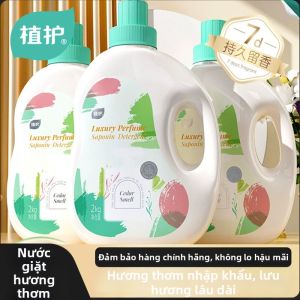Botare | Cedar Scent Long-Lasting Fragrance Laundry Detergent