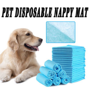 Super Absorbent Pet Diaper & Quickdry Urine Nappy Mat: A Comprehensive Guide