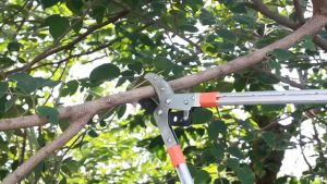 กรรไกรตัดกิ่ง 67-100CM รุ่นหนา ตัดง่าย โครงสร้างแข็งแรง สำหรับการตัดแต่งกิ่งไม้