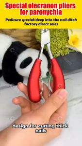 Gunting Manikur kuku kaki❤️Pemotong Kuku Stainless Steel Gunting Kuku Jari Kaki untuk Paronikia dengan Desain Paruh Elang Pemotong Kuku Anti Tumbuh ke Dalam Pemotong Kuku untuk Onikomikosis (Kuku Jamur) Alat Koreksi dan Penjepit Kuku Jari Kaki BBS