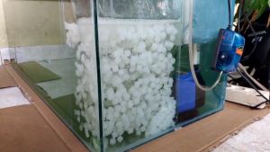 KALDNESS K1 100gr - Media Filter Kolam Aquarium Kaldnes K 1 L 100 gram