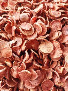 หมากแห้ง หมากอิแปะ หมากแว่น