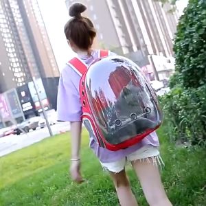 pet cat bag transparent sunroof outing bag portable out-of-door space capsule cat supplies breathable large capacity pet carrier beggar kujin cat backpack cat bag tote bag kuchin mula begging kuchin evening party bellakon beggar ancient qing travel