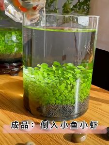 2.5/5KG Premium Aqua Soil for Aquarium Plant Clay Purified Water Black Soil Water Plant Seeds Carpet Plants for Fish Tank Landscaping Decoration