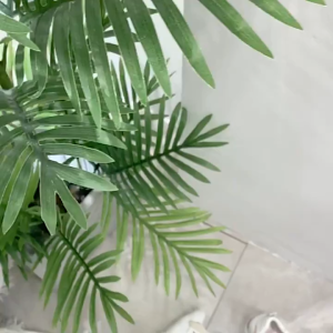 พร้อมส่ง 2025(มาใหม่ล่าสุด) รองเท้าผ้าใบแฟชั่นสำหรับสุภาพสตรี  ด้านล่างหนาลื่น8.ซม.รองเท้าผ้าใบเพิ่มความสูง เก็บเงินปลายทาง